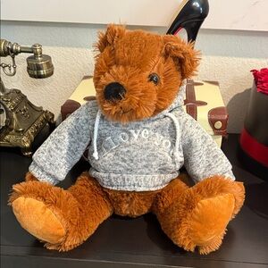 Gray Hooded teddy with Sweater